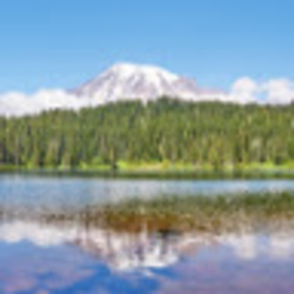 Meet your Posher, Sam's - Picture 1 of 1